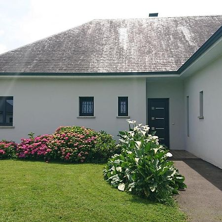 Maison L'Allee Des Arums Oloron-Sainte-Marie Zewnętrze zdjęcie