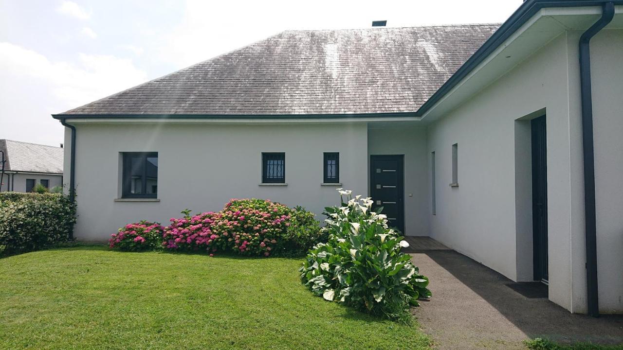 Maison L'Allee Des Arums Oloron-Sainte-Marie Zewnętrze zdjęcie